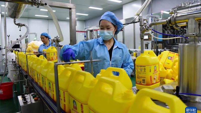 广东高分子材料厂家资质要求解析：合规之路，品质保障**